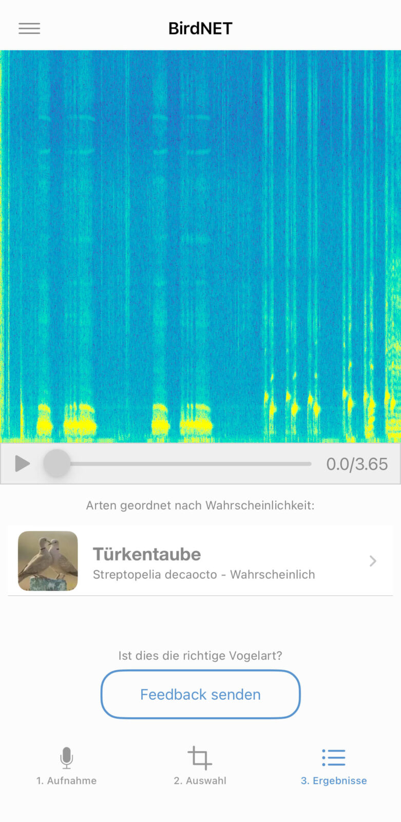 Bild 1: Smartphone-App: Die BirdNET-App im Einsatz auf einem Smartphone