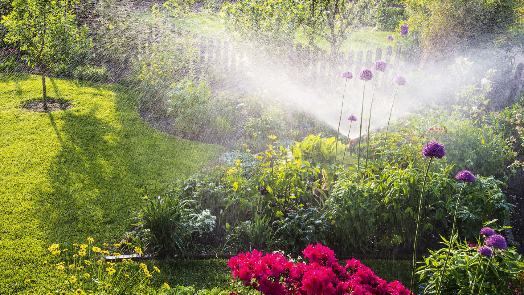 Bild 1: Zum Nachteil von Wasserverbrauch und Pflanzen − Bewässern in praller Sonne