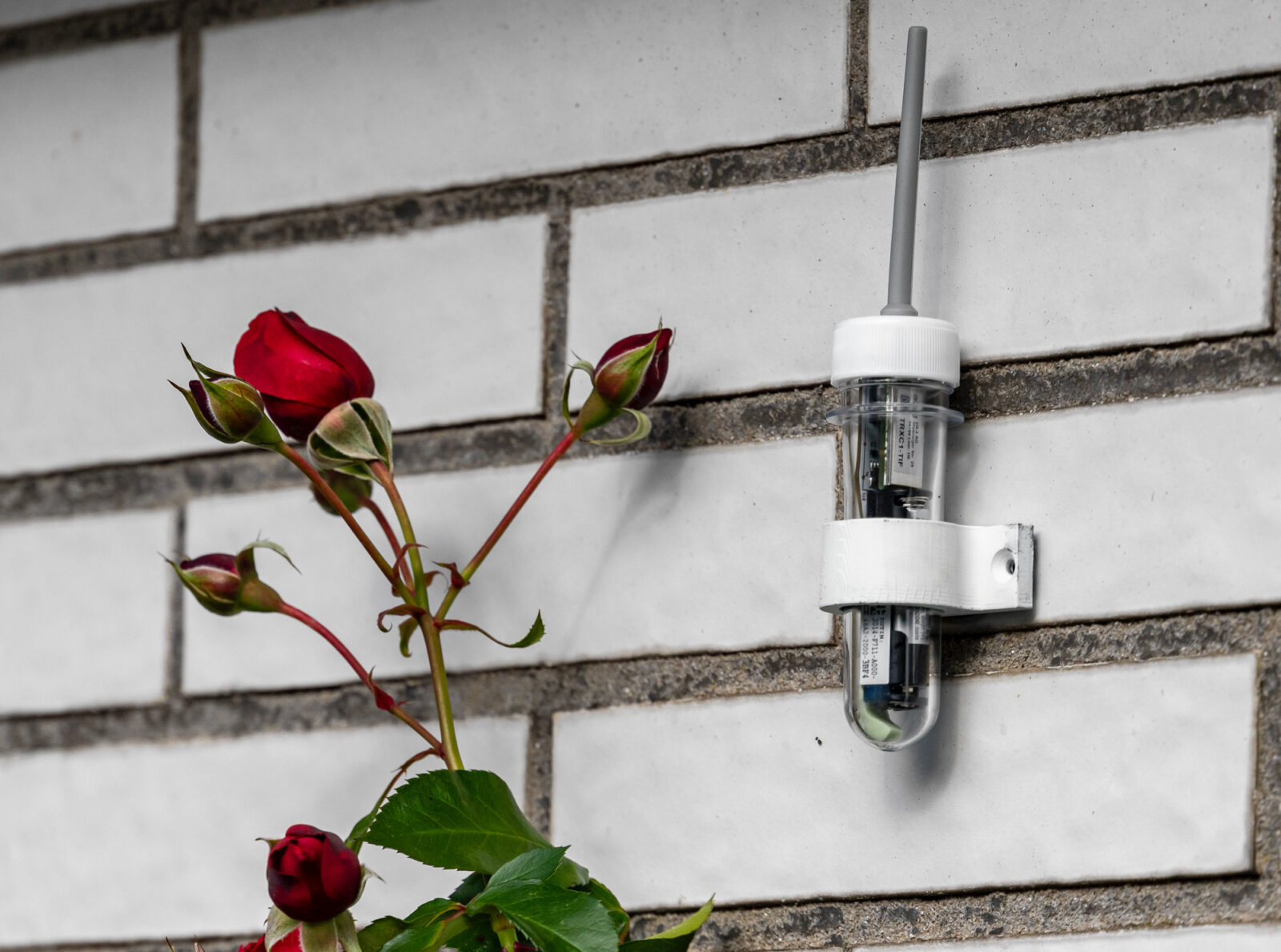 Bild 1: ELV-SH-Taco als klassisches Außenthermometer