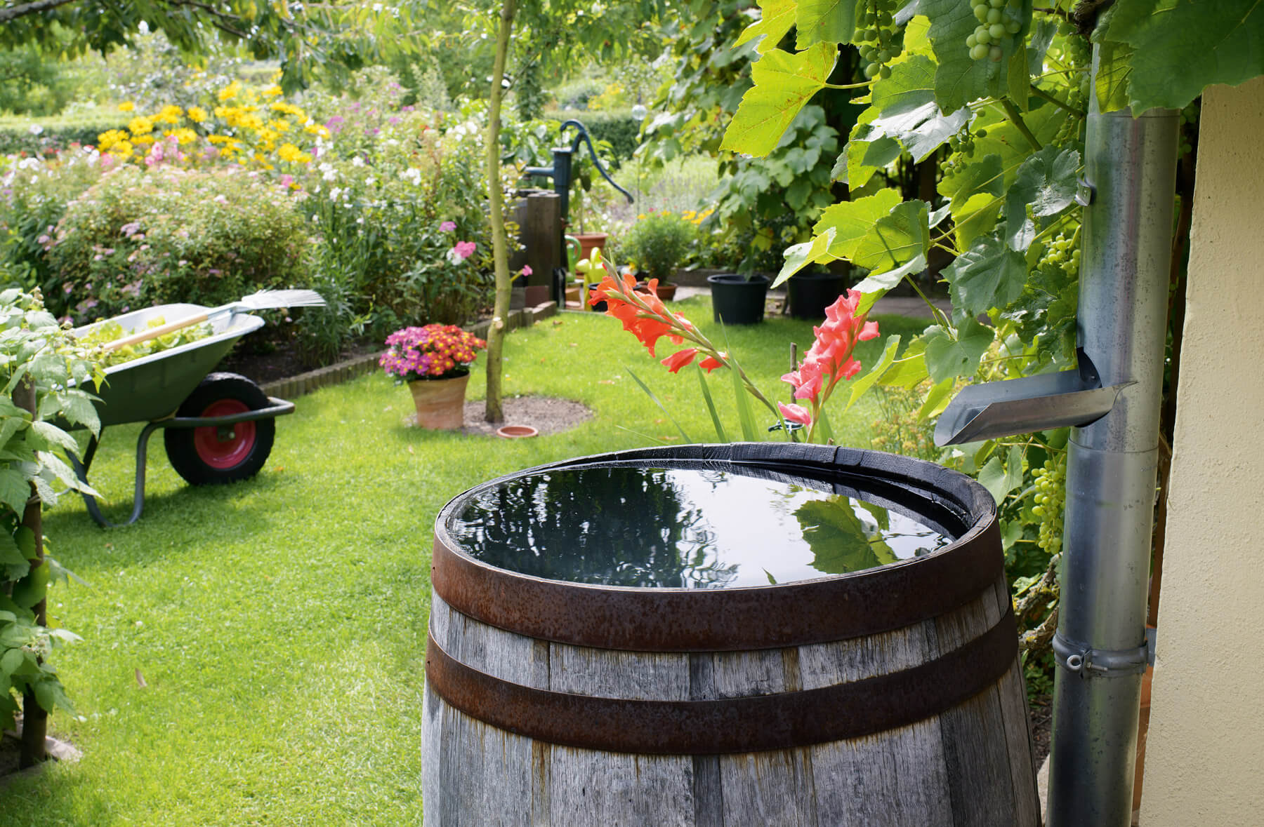 Bild 2: Regenwasser kann recht einfach über Ausläufe in den Regenwasserfallrohren gesammelt werden.