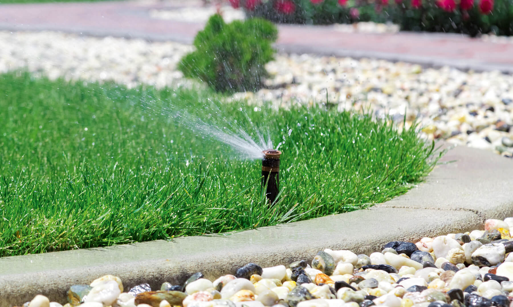 Bild 3: Beispiel für ein Regnermodell