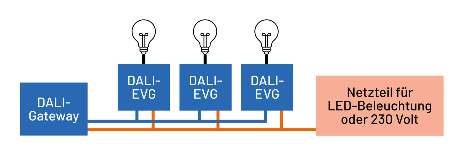 Bild 5: Typischer Aufbau einer DALI-Installation (schematisch)