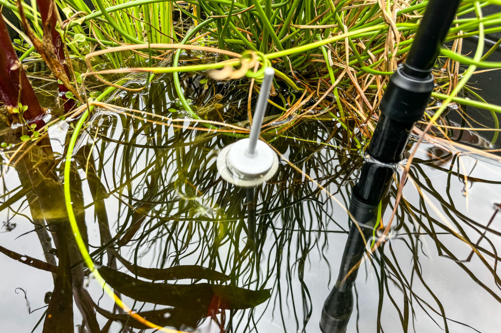 Bild 7: Einsatzvielfalt im Teich ...