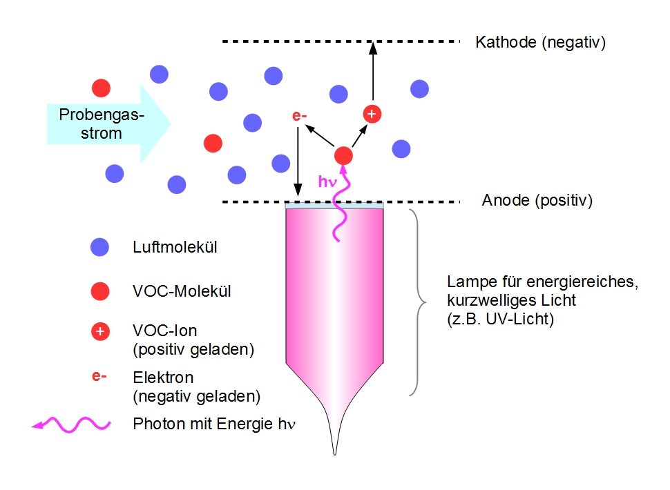 Die VOC-Moleküle in mit energiereichem Licht bestrahltem Probengas werden ionisiert.