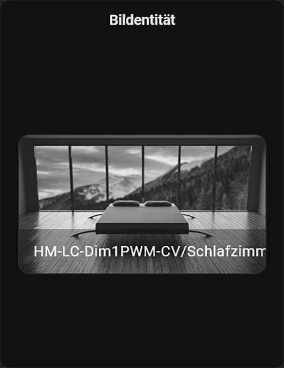 Picture Entities Card (Bild-Entität)